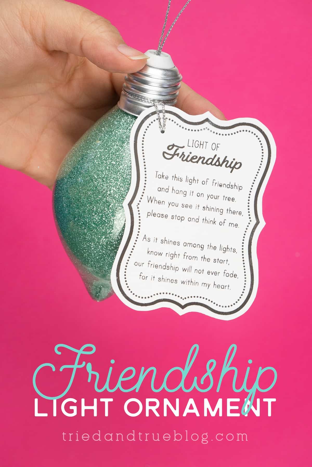Hand holding a glittered ornament with Light of Friendship Tag on pink background.